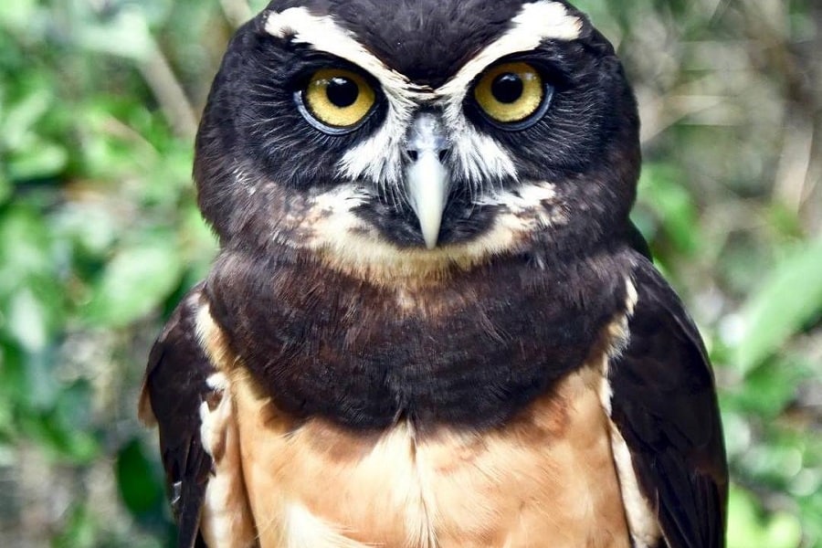 Aviario Nacional + Playa Baru - Image 23