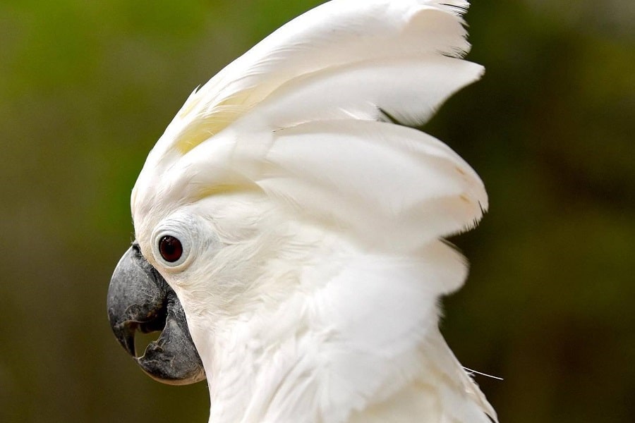 Aviario Nacional + Playa Baru - Image 21