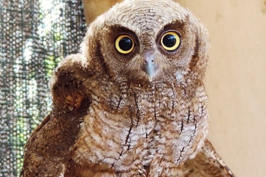 Aviario Nacional + Playa Baru - Image 18