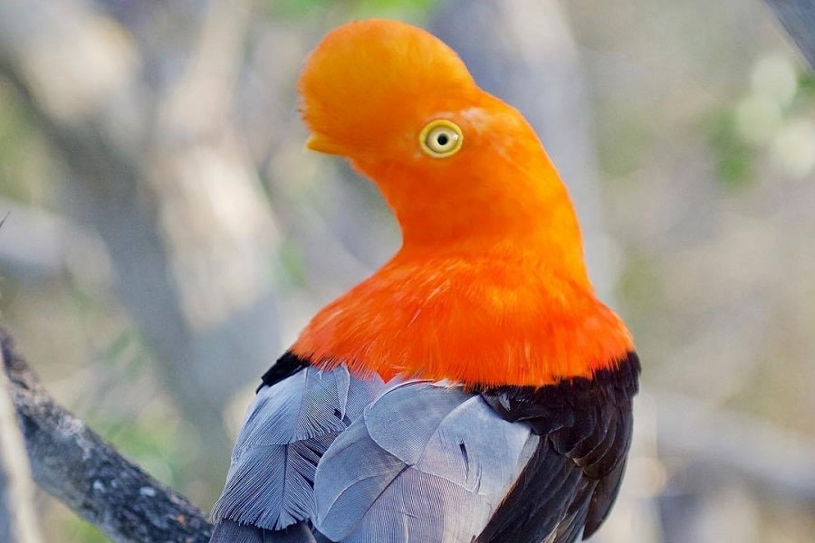 Aviario Nacional + Playa Baru - Image 15