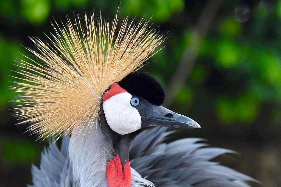 Aviario Nacional + Playa Baru - Image 13