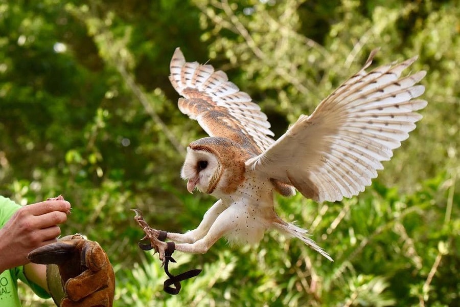 Aviario Nacional + Playa Baru - Image 7