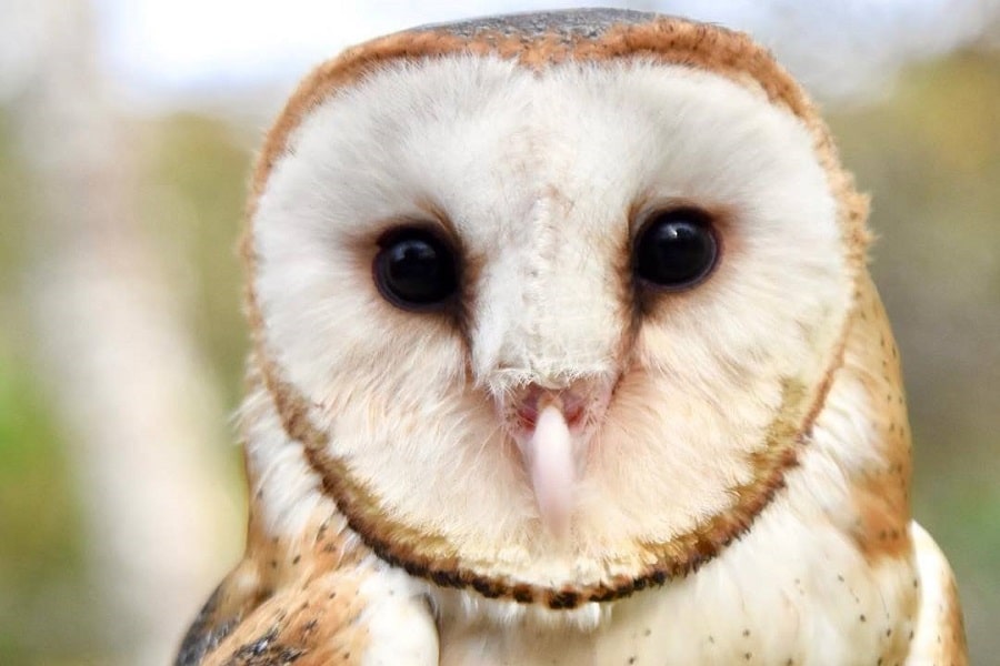 Aviario Nacional + Playa Baru - Image 6