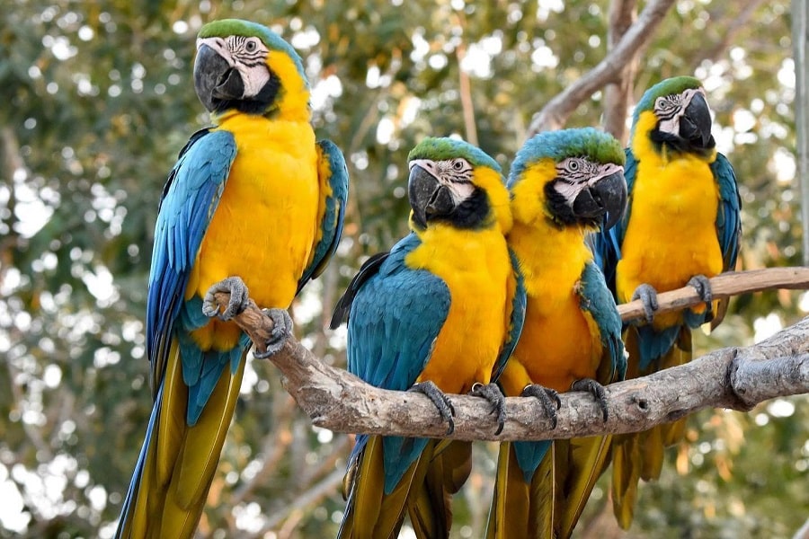 Aviario Nacional + Playa Baru - Image 25