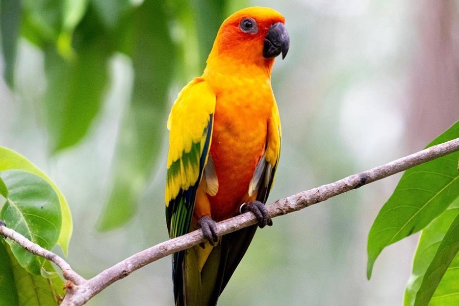 Aviario Nacional + Playa Baru - Image 24