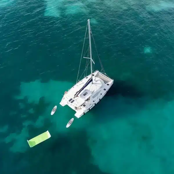 Catamarán Avalon One