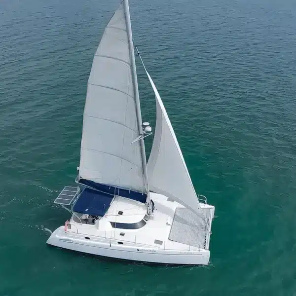 Catamarán Armonía
