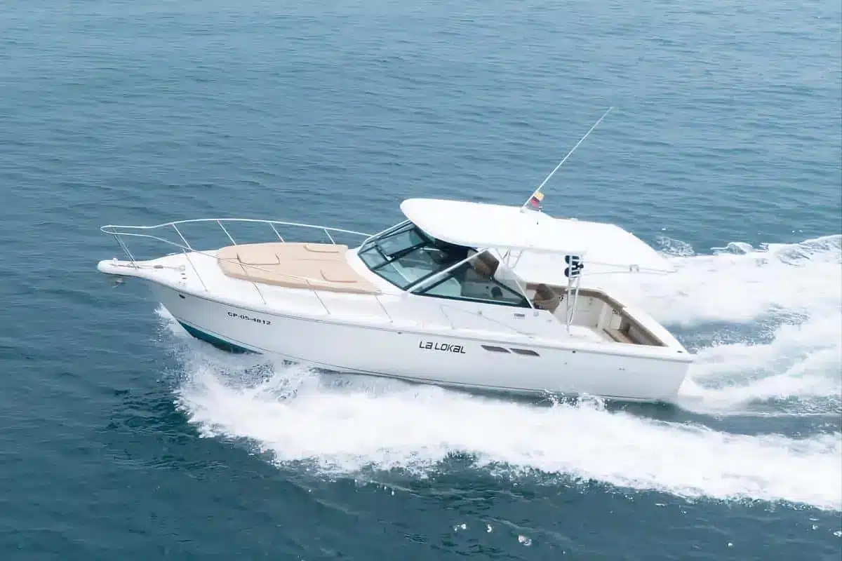 Yate La Lokal - Image 2