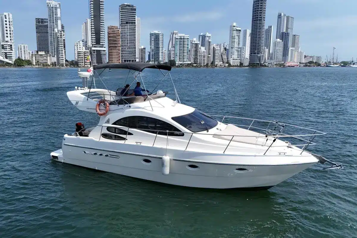 Yate Patos - Image 3