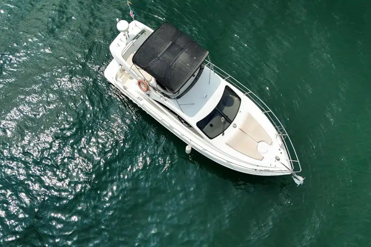 Yate Patos - Image 2